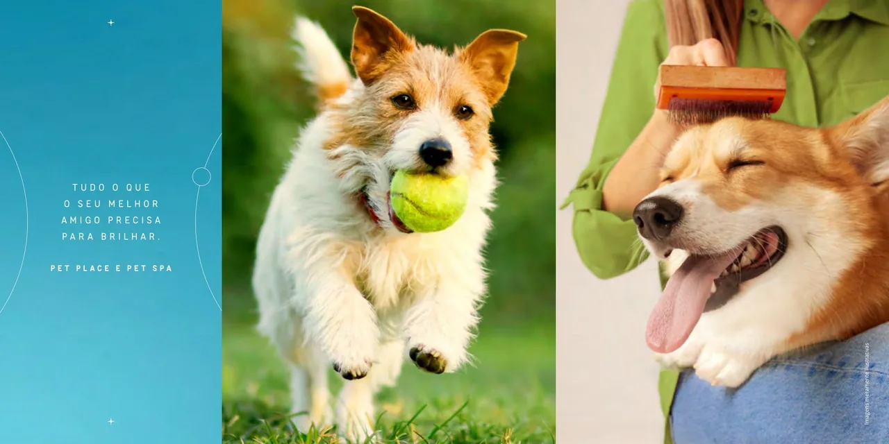 Pet Place e Pet Spa